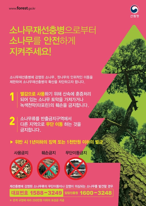 소나무재선충병 피해목 함부로 옮기지 마세요!