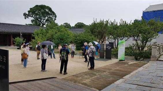 창경궁 나무들이 들려주는 흥미진진 구중궁궐 이야기